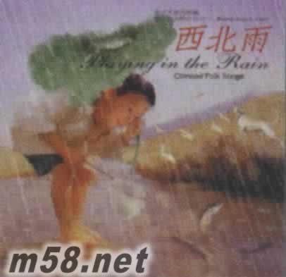 东方的天使之音7 西北雨专辑正面图片