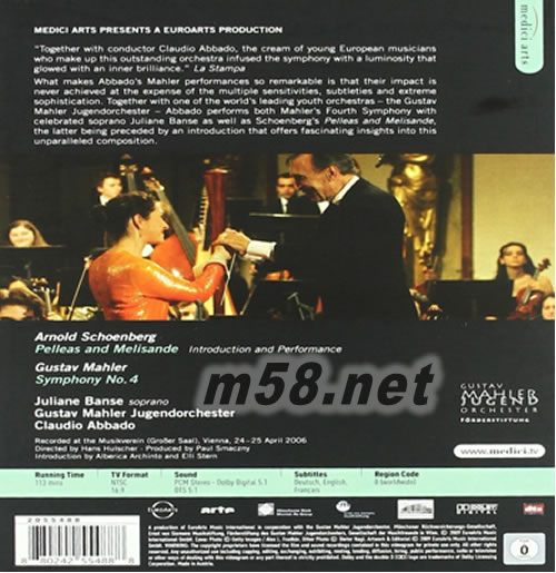 ABBADO CONDUCTS THE GUSTAV MAHLER YOUTH ORCHESTRA DVD专辑背面图片