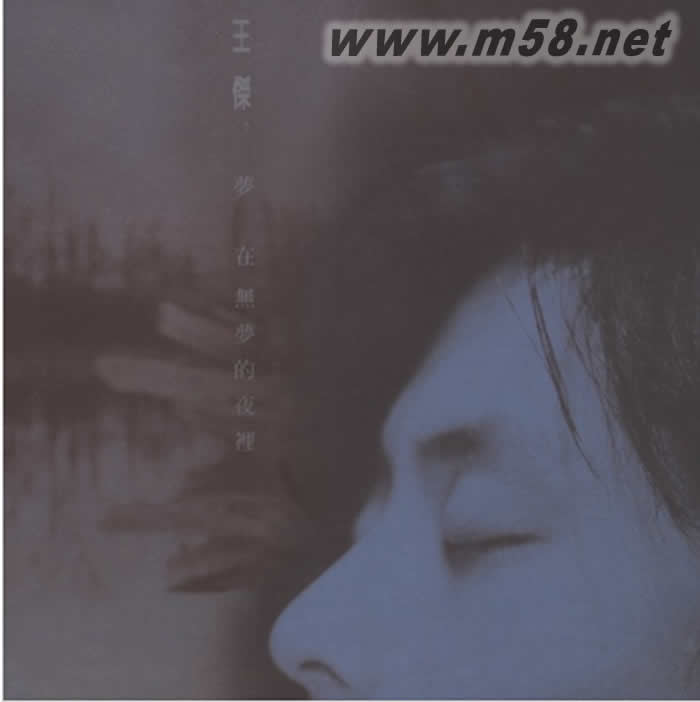 梦在无梦的夜里(2019版)专辑正面图片
