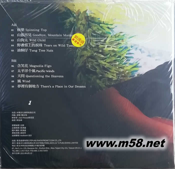 阿淘 极乐 黑胶(刘汉盛推介)专辑背面图片