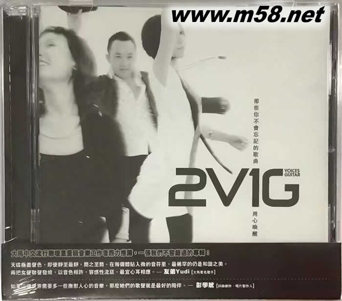 VOICES GUITAR专辑正面图片