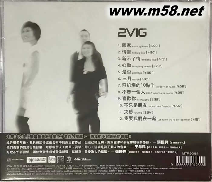 VOICES GUITAR专辑背面图片