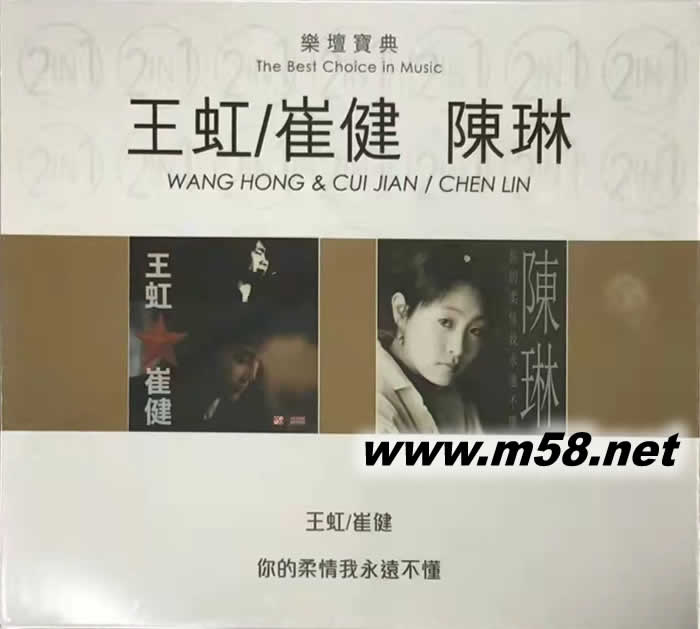 乐坛宝典 王虹 崔健 陈琳 你的柔情我永远不懂 2 IN 1 双CD专辑正面图片