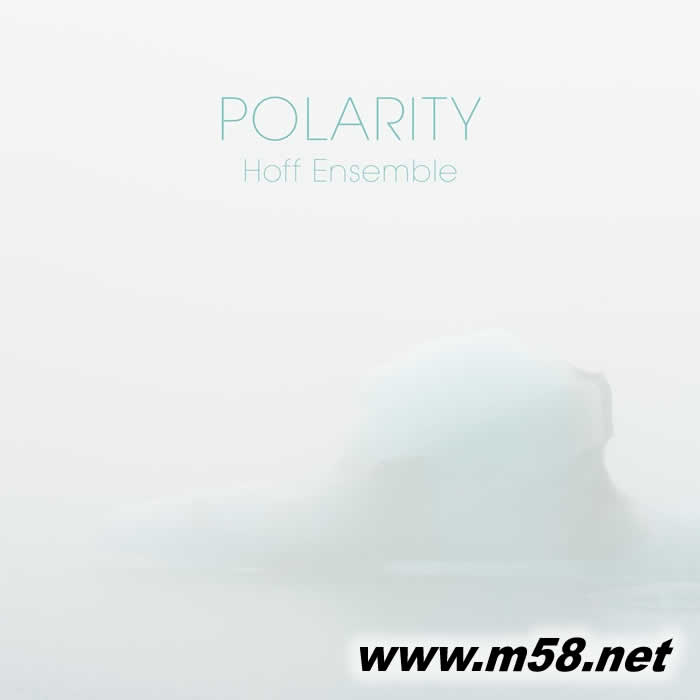 Polarity 极性 黑胶 白胶专辑正面图片