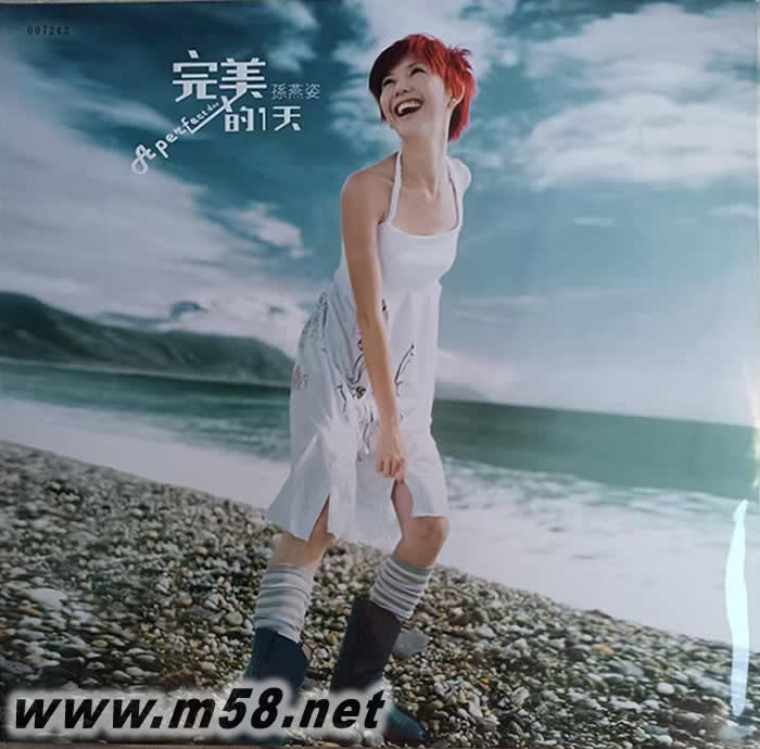 完美的一天 (典藏彩胶 湖水绿) 限量版专辑正面图片