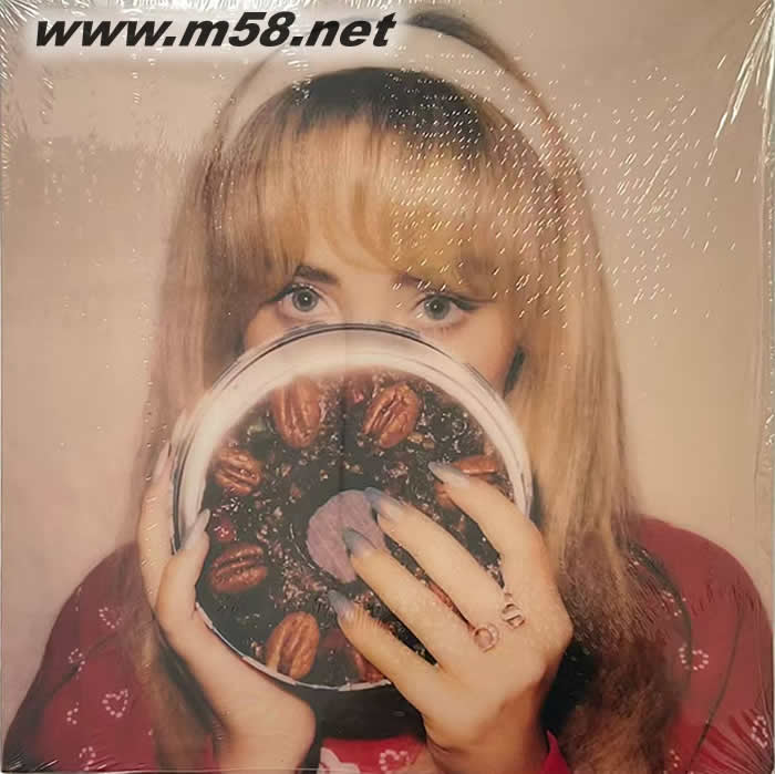 FRUITCAKE RECIPE 水果蛋糕食谱 黑胶专辑正面图片