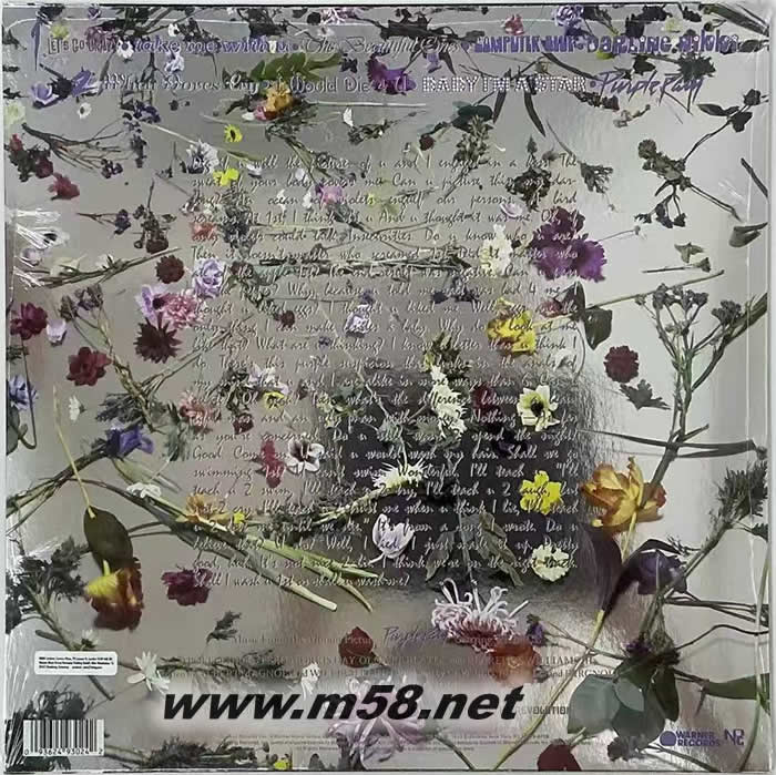 Purple Rain 紫雨 (Vinyl) 黑胶专辑背面图片